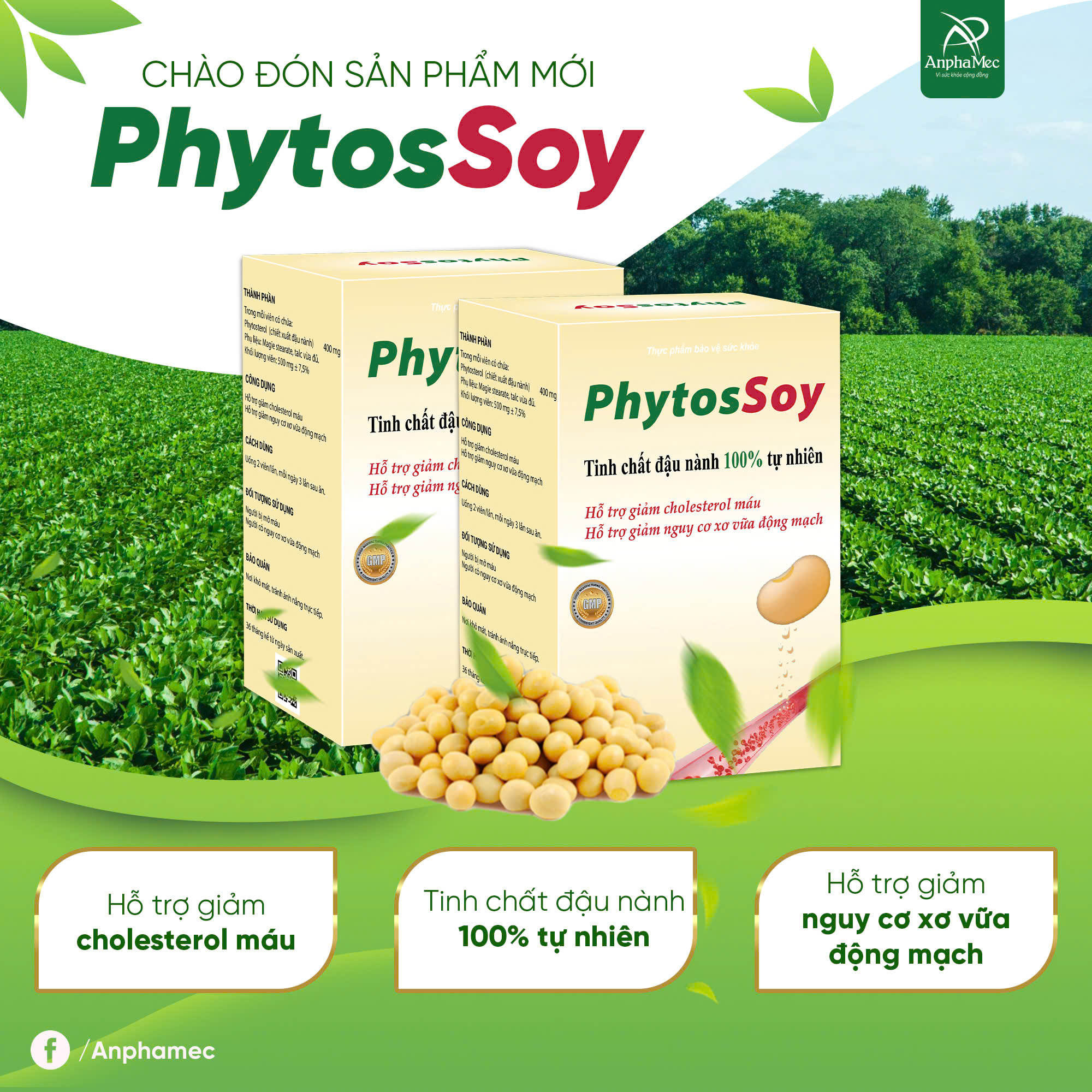 PhytosSoy